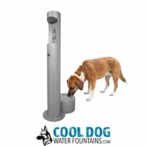 A brown and white dog drinks from the Cool Dog Water Fountain – Dog Basin w/ Bottle Filler, a sleek silver upright fountain with a bowl at the base. "COOL DOG WATER FOUNTAINS.com" and a dog head logo appear below.