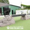 A black dog stands on top of a faux rock structure connected by a wooden bridge in an outdoor dog agility area, with a green building and white fence in the background. Text reads, "Gyms For Dogs.