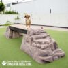 A brown and white dog stands on top of a raised agility ramp designed to look like rocks, on a green artificial turf, with a white fence and building in the background. Text reads: "GYMS FOR DOGS".