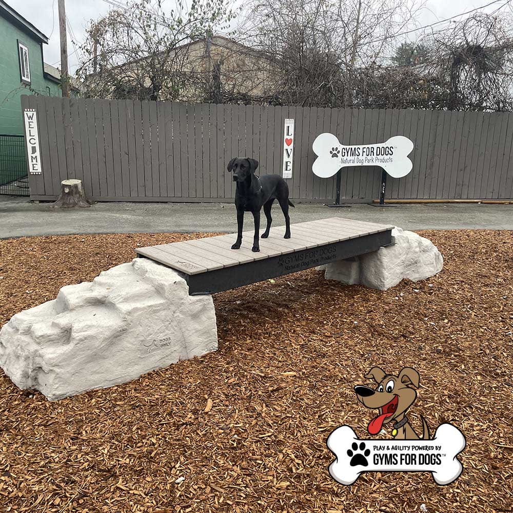 A black dog stands on a small raised bridge made of wood and faux rock at an outdoor dog park. A sign behind reads "GYMS FOR DOGS." Wood chips cover the ground and a fence encloses the area.