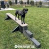A black dog stands on a Jump Balance Beam in a grassy fenced area, with "PLAY & AGILITY POWERED BY GYMS FOR DOGS.COM" at the bottom.