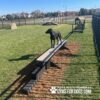 A black dog stands on an agility ramp in a fenced outdoor dog park with grass, agility equipment, and a "Gyms For Dogs" logo in the corner.