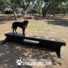 A black dog in a red harness stands on a raised agility bench in a sunny, tree-filled park. Text at the bottom reads, "Play & Agility Powered by GymsForDogs.com.