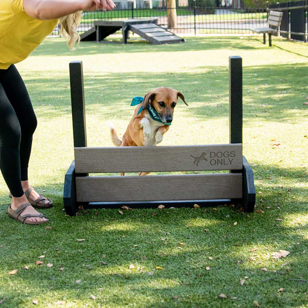 In a grassy, fenced park, a woman in a yellow shirt guides her brown and white dog in a blue bandana as it leaps over the Jump Hurdle - Small.