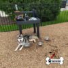 A husky lies on wood chips near metal water bowls and a black dog hydration station, with a fence and greenery in the background. A logo in the corner reads "GYMS FOR DOGS.