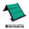 A green and black A-frame dog agility ramp with the text "Play & Agility Powered by GymsForDogs.com" and a paw print logo underneath.