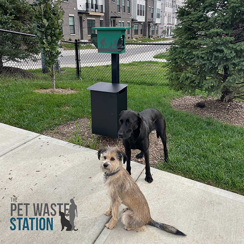 Two dogs, one black and one tan, stand on a sidewalk near a pet waste disposal station in a residential area with grass, trees, and apartment buildings in the background. "The PET WASTE STATION" logo appears in the corner.