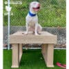 A white dog with a blue collar sits on the Interactive Play Training Platform—great for shelters and private properties—at a dog park, surrounded by artificial grass, a chain-link fence, and SPCA and Gyms for Dogs logos.