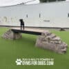 A black dog stands on Ellie's Boulder Bridge Pro—bridge, two rocks, and bumper pads—on artificial turf in a Dog Park. The text reads: "Play & agility powered by GymsForDogs.com".