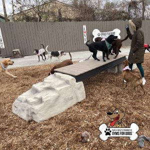 Ellie's Boulder Bridge - Standard