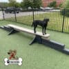 A black dog stands on a Jump Balance Beam in an outdoor Dog Park with artificial grass, near a black fence. The Gyms for Dogs logo is in the bottom left corner.