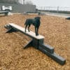 A black dog balances on a beige and black Jump Balance Beam in a fenced dog park, with wood chip ground and agility equipment visible in the background.