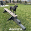 A black dog stands on a raised Jump Balance Beam in a grassy, fenced Dog Park. The text "Play & Agility Powered by Gyms For Dogs.com" appears at the bottom of the image.