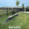 A black dog stands on a Jump Balance Beam in a grassy, fenced dog park. Houses and trees are visible in the background. White text at the bottom reads, "PLAY & AGILITY POWERED BY GYMS FOR DOGS.COM.