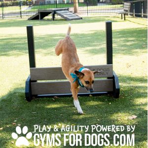 Jump Hurdle - Medium