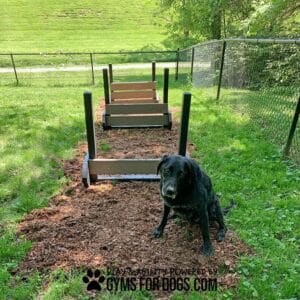 A black dog sits on a mulched path in front of a Jump Hurdle Run - Set of 3 agility obstacle at a fenced Dog Park, with "GYMSFORDOGS.COM" text displayed at the bottom of the image.
