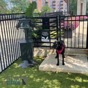 The Pet Waste Station - Free Standing