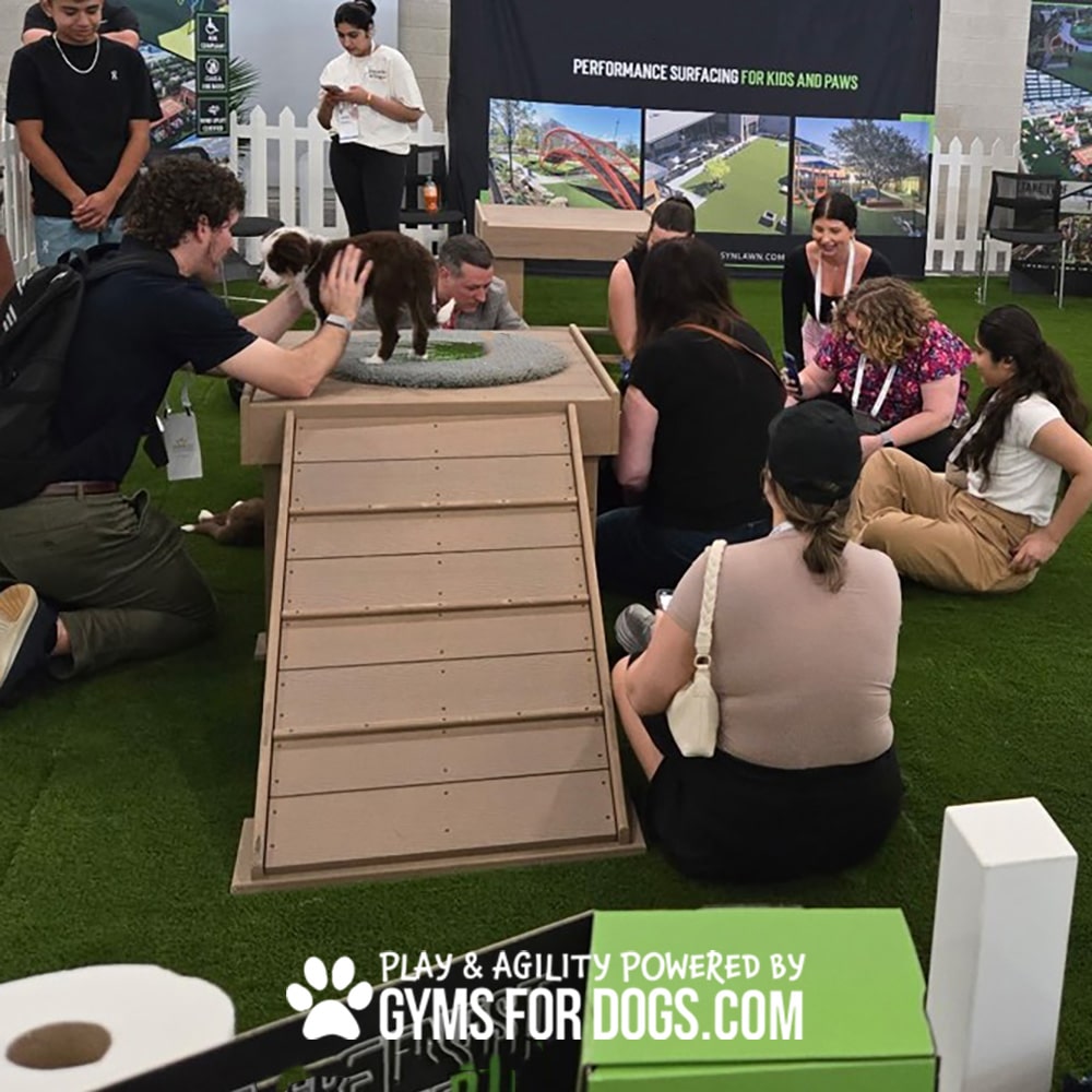 People and dogs gather indoors around an agility ramp and artificial turf, enjoying play and training activities in this unique indoor dog park. A sign in front reads, "Play & Agility Powered by GymsForDogs.com.