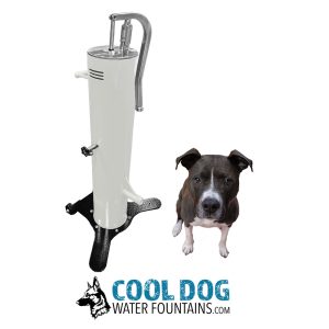 COOL DOG Fresh Flow Water Fountain w/ Hose - Free Standing Base w/ Rollers (SLV)