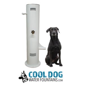 COOL DOG Fresh Flow Push Button Water Fountain w/ Hose - Surface Mount (SLV)