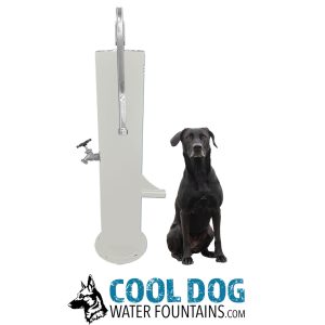 COOL DOG Fresh Flow Water Fountain w Pet Hose– Surface Mount (SLV)