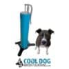 A black and white dog sits next to the tall blue Doggie Demand COOL DOG Portable Fresh Flow Water Fountain (SLV), which connects to a garden hose. Below is the Cool Dog Water Fountains logo, website, dog illustration, and bold blue text.
