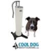 A black and white dog sits by a tall, white outdoor fountain with a curved spout. Below, the text reads "Doggie Demand COOL DOG Portable Fresh Flow Water Fountain – Hooks up to Garden Hose (SLV)" with a dog logo.