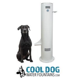 COOL DOG Fresh Flow Push Button Water Fountain - Surface Mount (SLV)