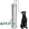 A tall, silver outdoor water fountain with a lever handle stands next to a black dog sitting upright. The logo "Cool Dog Water Fountains" with a dog illustration appears in the lower left corner.