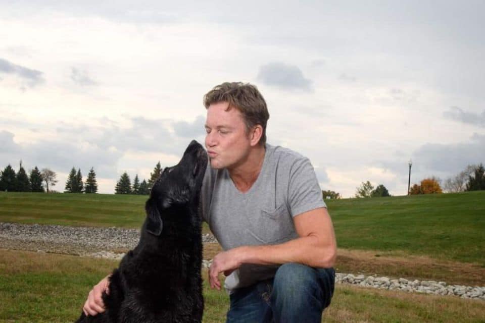 The Dog Park Boulder size extra large