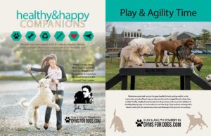 Two-page ad: Left side shows a happy woman playing tug-of-war with her dog. Right side shows four dogs balancing on a black agility ramp outdoors with houses and trees in the background. Text promotes dog health and agility.