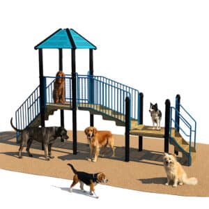 Several dogs of different breeds stand and walk around a blue and tan playground structure with ramps and railings on a surface resembling sand or mulch. One dog is on the ramp, and another is on the upper platform.