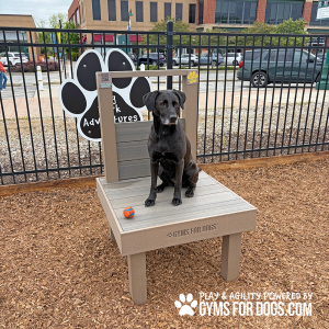 The Kissing Booth