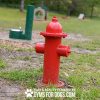 Dog Park Fire Hydrant