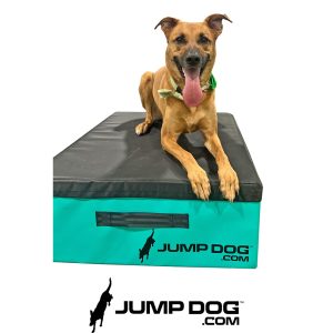 Jump Training Agility 12" Cushion Platform